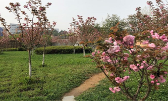 �F���t(y��)�ƴ�W(xu��)���������t(y��)ˎ�W(xu��)Ժ