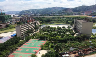 �V�����̼����WԺ