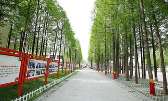 �Ͼ�������W(xu��)У