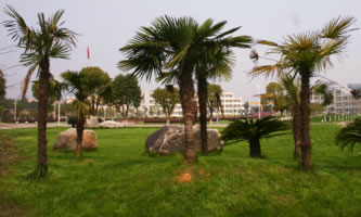 ����ʡ����̄�(w��)�߼������W(xu��)У