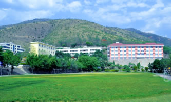 Ԫ���h�I(y��)�߼��ЌW