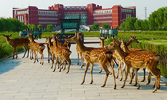 ��(n��i)�ɹŎ�����W(xu��)