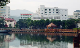 �����_�Ŵ�W