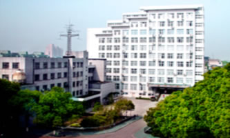 �����_�Ŵ�W