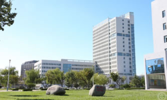 ɽ�|���t(y��)ˎ�ߵȌ��ƌW(xu��)У