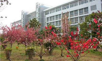 �����I(y��)���g(sh��)�W(xu��)Ժ