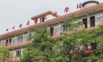 ��üɽ����WУ