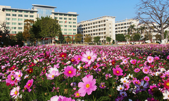 �������I(y��)���g(sh��)�W(xu��)У