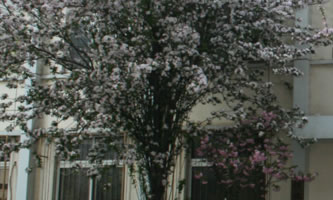 ����к����^(q��)����W(xu��)