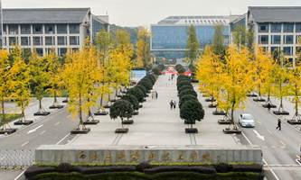 �ؑc�����I(y��)���g(sh��)�W(xu��)Ժ