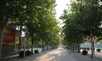 �ӽ�h�I(y��)�еȌ��I(y��)�WУ