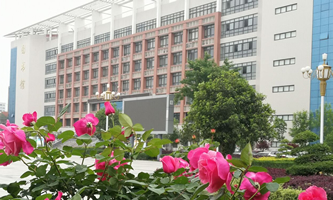 ����׃������WУ