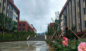 ƽ�ɽ�����t(y��)ˎ�WУ