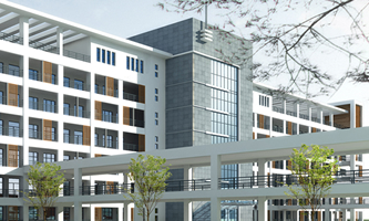 ���չ�����������WУ