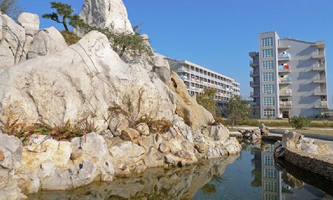 �����t(y��)ˎ�l(w��i)���W(xu��)У