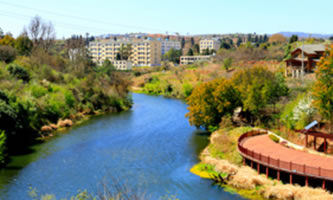 �����r(n��ng)�I(y��)�I(y��)���g(sh��)�W(xu��)Ժ