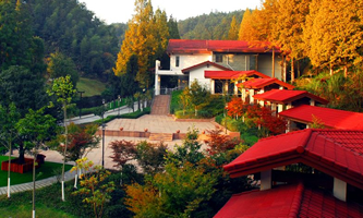 �Ї�����ɽ�ɲ��W(xu��)Ժ