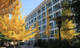 �F�ݽ�ͨ�����W(xu��)Ժ���F��ʡ��ͨ�\(y��n)ݔ�W(xu��)У��