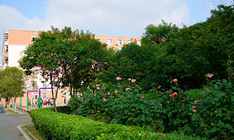 ���ս��O(sh��)�W(xu��)У�����ս��������W(xu��)Ժ��