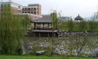 �㽭���O�I(y��)���g(sh��)�WԺ