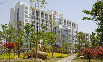 �����t(y��)�WԺ