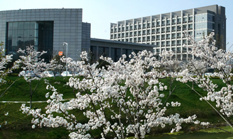 �Ї�ˎ�ƴ�W2022���ˮƽˇ�g�F��������