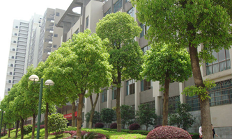 ���Ϲ��̴�W(xu��)2022���ˮƽ�\(y��n)��(d��ng)�(du��)������(ji��n)��