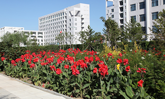 �ӱ������W(xu��)Ժ2022��Tʿ�о����֌�(zhu��n)�I(y��)�M����Ӌ(j��)��