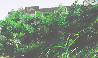 2021�꺪���W(xu��)Ժ�赸����[���w���赸����]��(zhu��n)�I(y��)У��������(ji��n)��