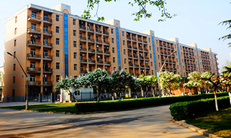 �ӱ����|(zh��)��W(xu��)2022���ˮƽ�\(y��n)��(d��ng)�(du��)������(ji��n)��