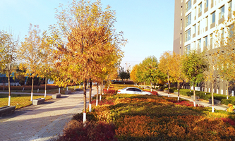 ɽ�����̿Ƽ��I(y��)��W���Ǹɸ�ԺУ��헽��O(sh��)��λ��ɽ�������I(y��)���g(sh��)�WԺ��