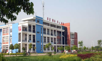 ���Ϲ��I(y��)�I(y��)���g�WԺ���Ǹɸ�ԺУ��헽��O��λ