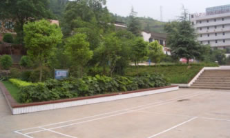 �Ĵ�ʡ���A�h�I(y��)�߼�(j��)�ЌW(xu��)У