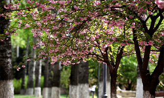 �������I(y��)��W(xu��)�����W(xu��)Ժ