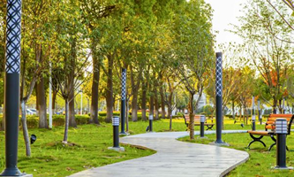 �Ϻ������I(y��)���g(sh��)�W(xu��)Ժ