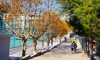 ��ɽ�W(xu��)Ժ