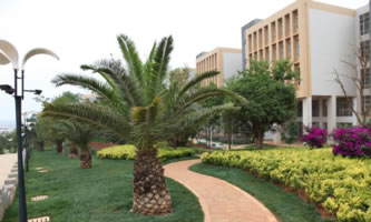 ���Ͻ�ͨ�I(y��)���g(sh��)�W(xu��)Ժ������ʾ���Ըߵ��I(y��)ԺУ���O(sh��)Ӌ����헽��O(sh��)��λ