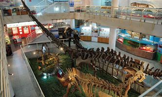 �Ї�(gu��)�ƌW(xu��)Ժ�ż�׵��(d��ng)���c������о���