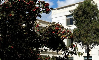 �Ї��ƌW(xu��)Ժɽ��ú̿���W(xu��)�о���