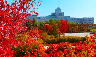 �����I�A�W(xu��)Ժ