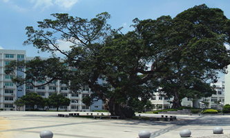 �����r(n��ng)�ִ�W(xu��)