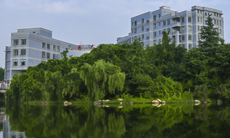 ��h���̴�W