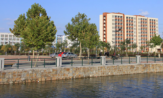 �ӱ����I(y��)��W(xu��)