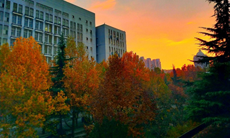 �ӱ��t(y��)�ƴ�W(xu��) 2022 ��y(t��ng)�дTʿ�о����������߽��x�� ��Ҋ(ji��n)��(w��n)�}���