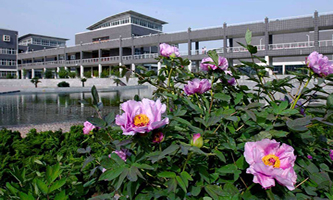 2021�꺪���W(xu��)Ժ�赸����[�н����ٿ���]��(zhu��n)�I(y��)У��������(ji��n)��