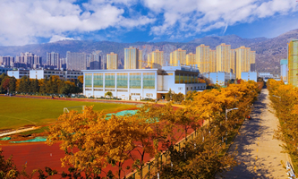 �����t(y��)ˎ�����I(y��)�WԺ