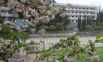 �F�����t(y��)ˎ��W�r��WԺ