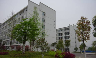 �VԪ���t(y��)�WԺ