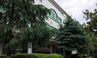 �����滛�е��I(y��)���g(sh��)�W(xu��)У