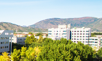 �Ї�ʯ�ʹ�W(xu��)��������